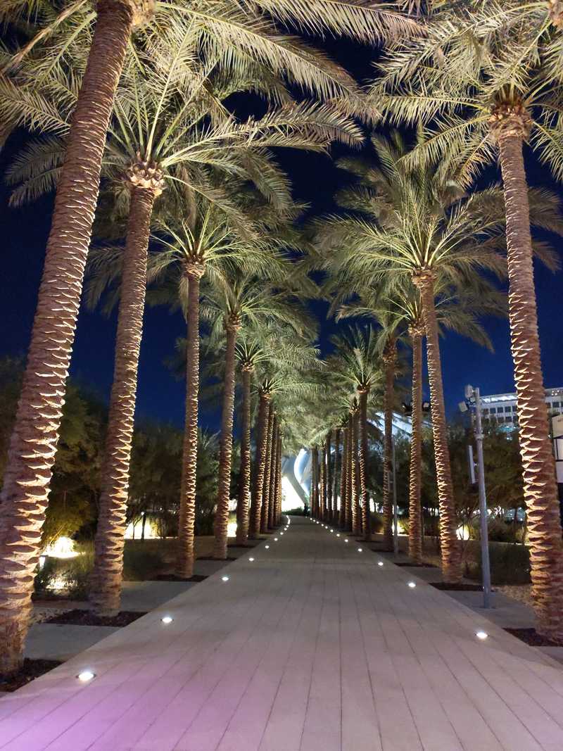 Palm avenue towards the UAE pavilion.