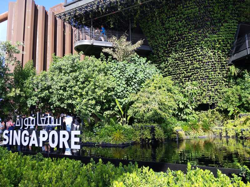 Lush greenery at the Singapore pavilion.