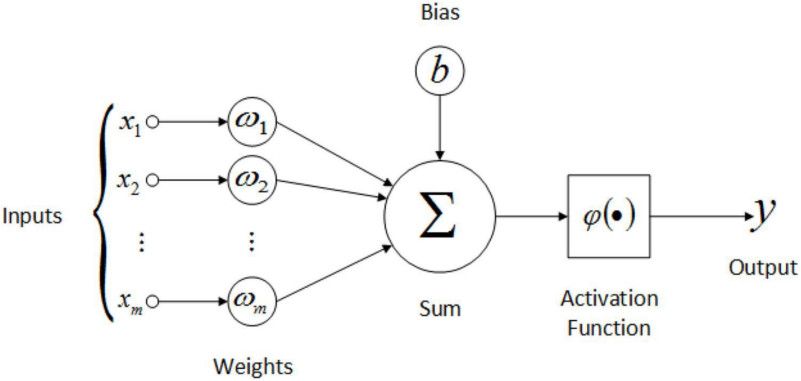 An artifical neuron